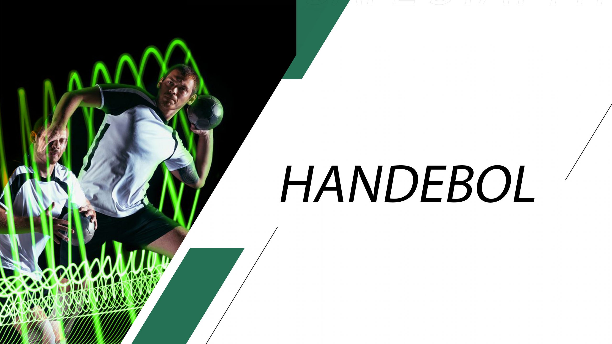 Handball sports